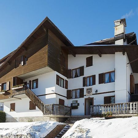 Villa Casanova - Stayincortina Cortina dʼAmpezzo Cameră foto